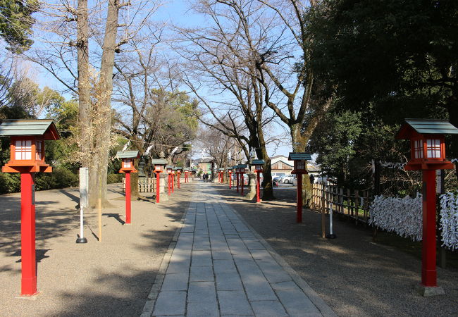 鷲宮神社 クチコミ アクセス 営業時間 幸手 久喜 栗橋 フォートラベル 鷲宮神社 クチコミ アクセス 営業時間 幸手 久喜 栗橋 フォートラベル