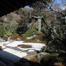 浄妙寺の喜撰庵の庭園