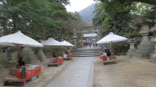 白い大きな傘を・・・