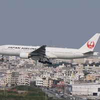 旅客機が次々と離着陸していました