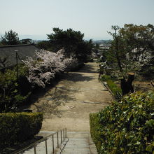 法隆寺 西円堂(西円堂からの眺め)