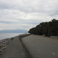 外海は駿河湾