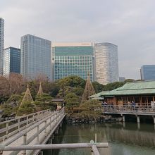 庭園の「潮入り池」の風景です。優雅です。