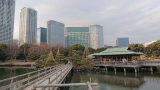 汐留にある徳川将軍の頃の庭園です。豪華で風情のある庭園の風景が楽しめます。