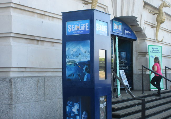 ロンドン水族館