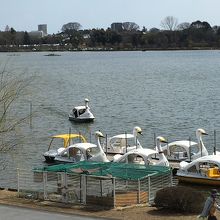 千波湖のすぐそばに徳川光圀公像がありました By Fuhchibah 千波湖のクチコミ フォートラベル