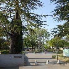 県庁側の出入口