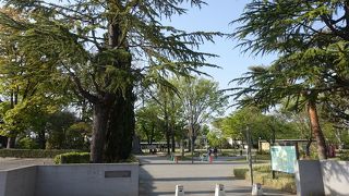 桜の咲く季節が良さそう