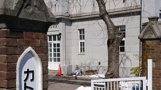 白が映える美しさ