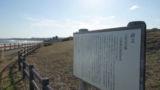 太東海浜植物群落地