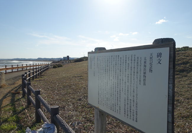 太東海浜植物群落地