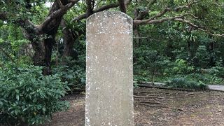 天女橋の改修記録