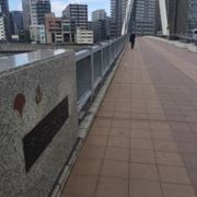 隅田川の大橋
