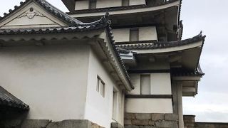 名前は風雅ですが