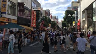 柏まつり