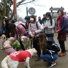 ライブカメラ前　山頂広場