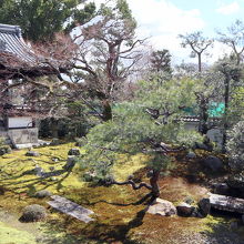 方丈南側の枯山水庭園
