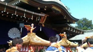 もってこーいのかけ声