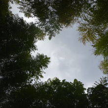 ベンチに仰向けになって撮ってみた