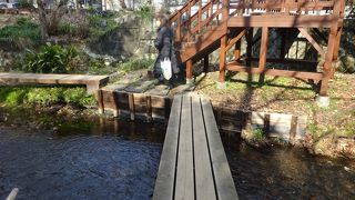 湧水で透明度抜群☆町なかにある自然を感じられる遊歩道