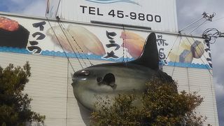 一皿１２０円からの新鮮回転寿司