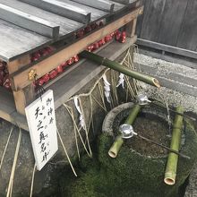 お願い事しました