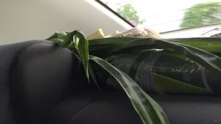 空港タクシーは定額制