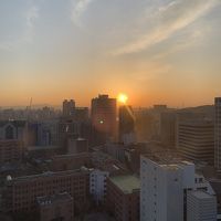 フロント横の窓からの朝日
