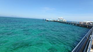 ビッグキャット グリーン島クルーズ