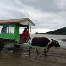 賢い牛がとてもよかった。