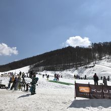 コースは少なめ