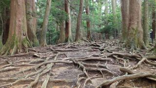 しんどかった…