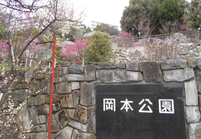 岡本梅林公園 クチコミ アクセス 営業時間 神戸 フォートラベル 岡本梅林公園 クチコミ アクセス 営業時間 神戸 フォートラベル