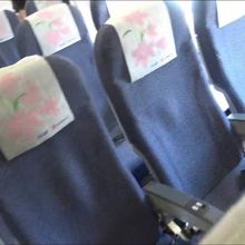 ハイビスカス？の花の模様がついたシート。沖縄感が出てますね。