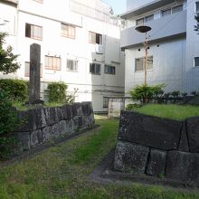 北側から見た状態