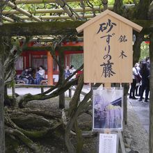 こういう立て札があります。