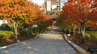 緑が豊かな公園です
