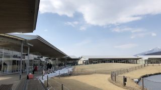 広すぎるので、、