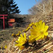 3月中旬、春の足音はまだわずか