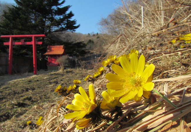 3月中旬、春の足音はまだわずか