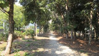 野球場がありますが・・・