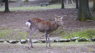 いたるところに。