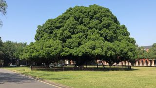 広々としたキャンパス