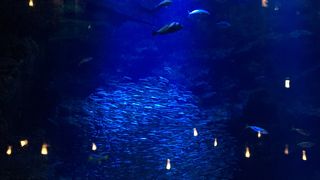 アクセスが便利になりました。