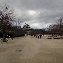 丘の上は広場のようになっています