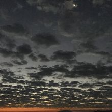 タワーからの眺め