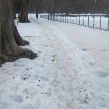 春先はこんなところを歩かなくてはなりません