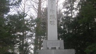 春先はアクセスが大変です！