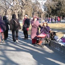 公園内は市民の憩いの場