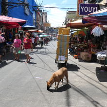 ワンちゃんもいました。